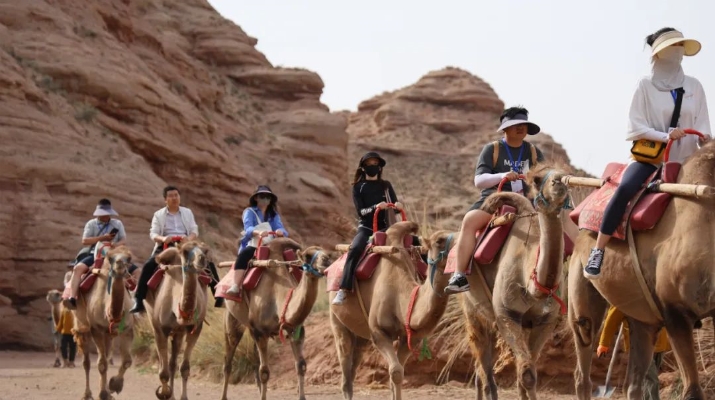 202406251719277217115325.jpg 640 (3)_副本.jpg